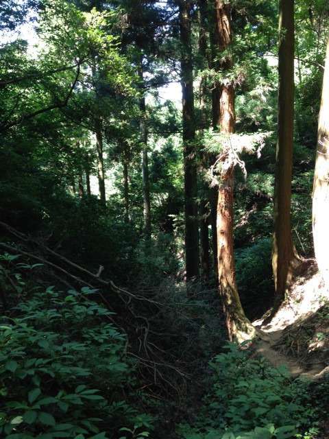 日立御岩神社　奥ノ院までの道