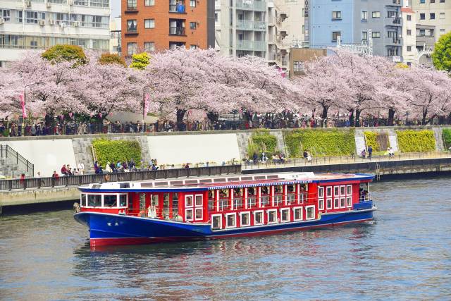 春の浅草と屋形船