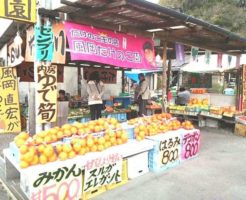 風岡たけのこ園外観