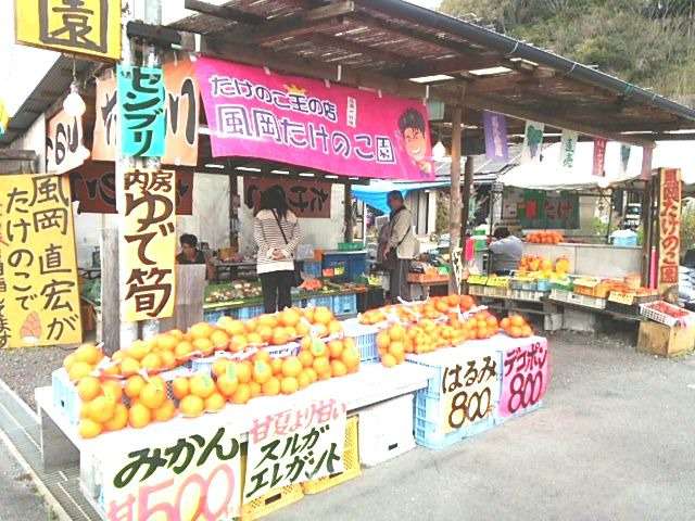 風岡たけのこ園外観