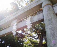 神社の鳥居